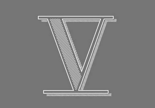 V logo