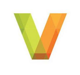 V logo