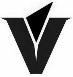V logo