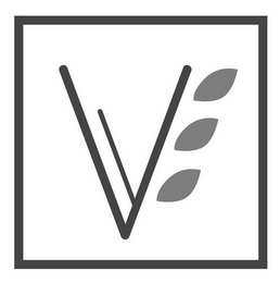 V logo