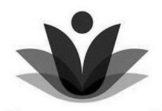 V logo