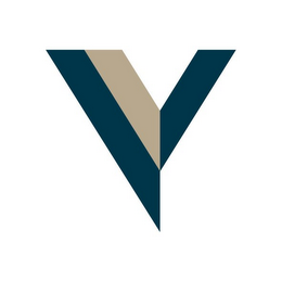 V logo