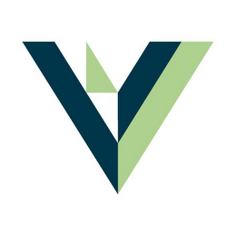 V logo