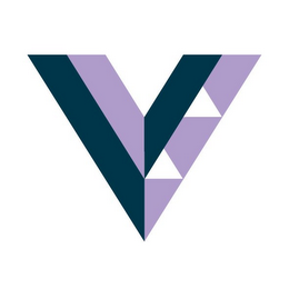 V logo