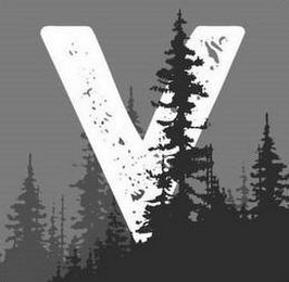 V logo
