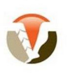 V logo