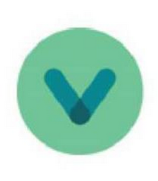 V logo