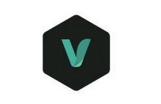 V logo