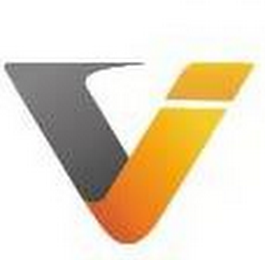 V logo