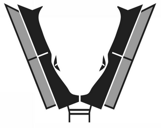 V logo