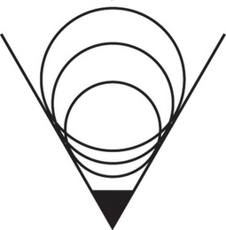 V logo