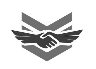 V logo