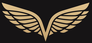 V logo