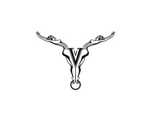 V logo