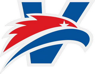 V logo
