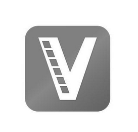 V logo