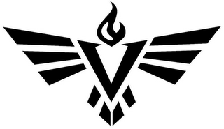 V
