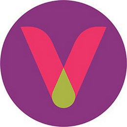V logo