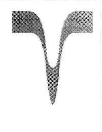 V logo
