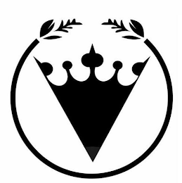 V logo