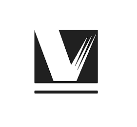 V logo