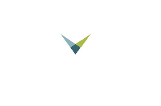 V logo