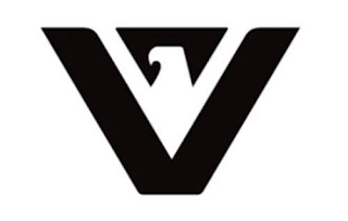 V logo
