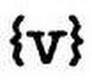 V logo