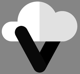 V logo