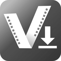 V logo