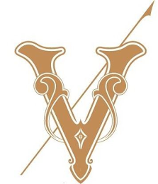 V logo