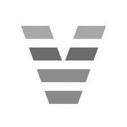 V logo