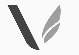 V logo