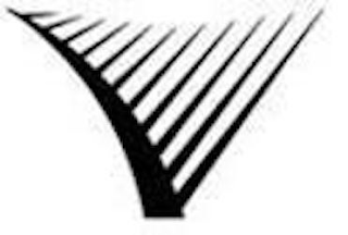 V logo