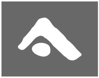 V logo