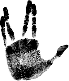 V logo