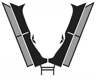 V logo