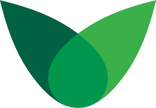 V logo