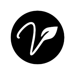 V logo
