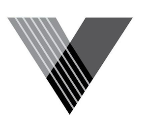 V logo