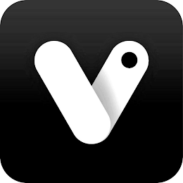 V logo