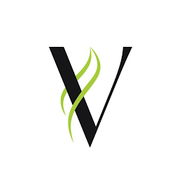 V logo