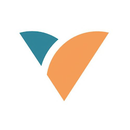 V logo