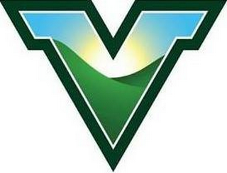 V logo