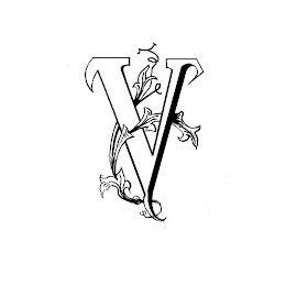 V logo