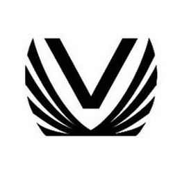 V logo
