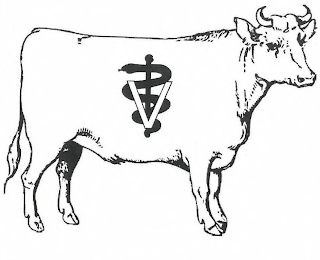 V logo