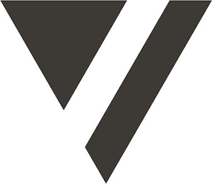 V logo
