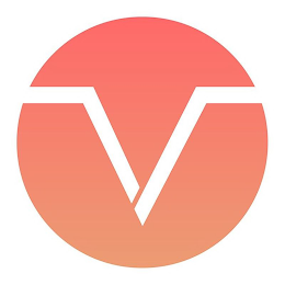 V logo