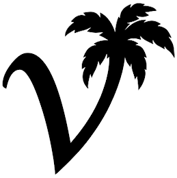 V logo